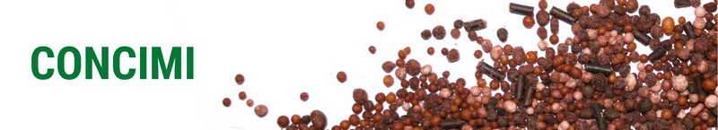 CONCIMI