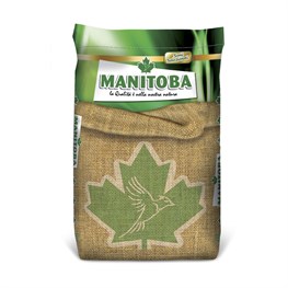 MIGLIO GIALLO - KG 20