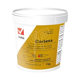 CORTEXA MASTICE - BARATTOLO KG 1 - VEBI 00408