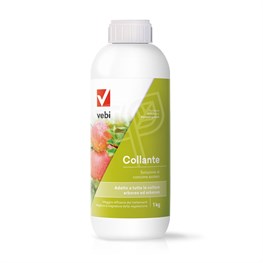 COLLANTE VEBI - LT 1 - VEBI 01808