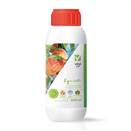 EQUISETO - ML 500 - SOSTANZA DI BASE BIO VEBI - 02199
