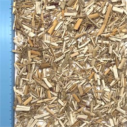 MISCANTHUS PACCIAMATURA 15-30 MEDIA - KG 15 (LT 130-150)