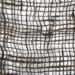 RETE GEO-JUTA SCARPATE - GR 100 - MT 2x100