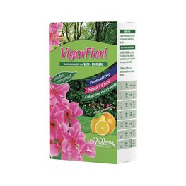 VIGORFIORI KG. 0,500