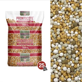 N. 5 PRONTOCOTE 6 M (19-10-11+3+0,6) - 6 MESI - KG 25
