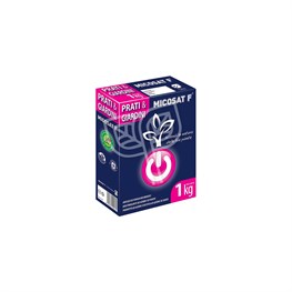 MICOSAT F C.C.S. - KG 1