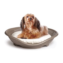 LETTINO PASHA TORTORA