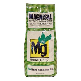 MAGNISAL HAIFA - KG 2,5