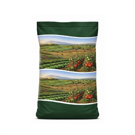 VIGORMULTI  KG.20  #