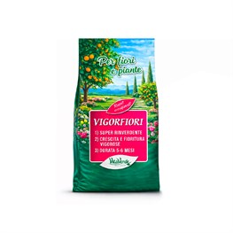 VIGORFIORI - KG. 4