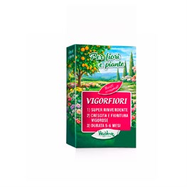 VIGORFIORI - KG. 0,500