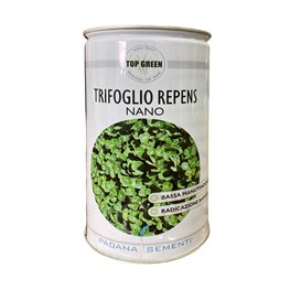 TRIFOGLIO REPENS NANO - MIX KG.0,1