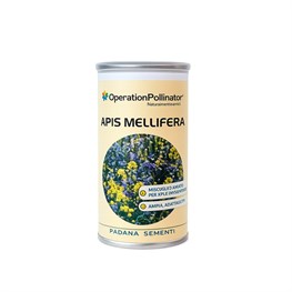 MIX APIS MILLIFERA BARATTOLO - KG.1  (C.SMAPMB01)