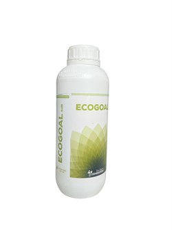 ECOGOAL TRIP. - LT.5