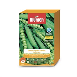 PISELLO NANO RAINER - 250 GRAMMI