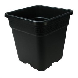 VASO PLUS ALMA - LT.3