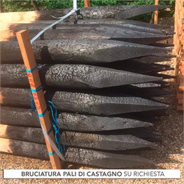 BRUCIATURA PALI DI CASTAGNO FINO AD H 300 - D. 08/10