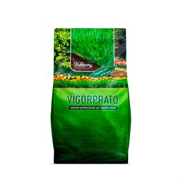 VIGORPRATO BASIC - KG.4