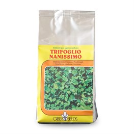 SEME GIBER SEEDS TRIFOGLIO REPENS NANISSIMO - KG 0,5