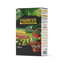 VIGORFER KG. 1