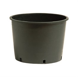VASO VIVAIO BASSO CM Ø 22 - H 17 - LT 5,5
