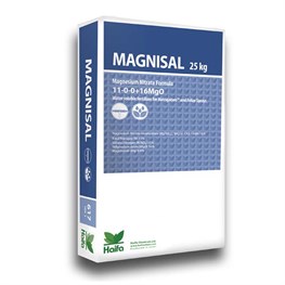 MAGNISAL HAIFA - KG 25