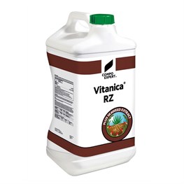 VITANICA RZ COMPO EXPERT - LT 1