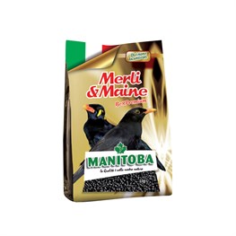 MERLI & MAINE MANITOBA - KG 1