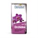 11041_SUBSTRATO ORCHIDEE FL LT10.JPEG