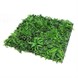 11100_PANNELLO GREENWALL MIX MT 1 X 1.JPG