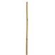 13322_CANNE BAMBOO  H 106   1214.PNG