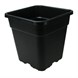 14129_VASO-PLUS-3-LT.JPEG