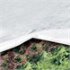 14173_TNT-PESANTE-GR30MQ-MT1,6X10--PBOX-(36-PZ).PNG