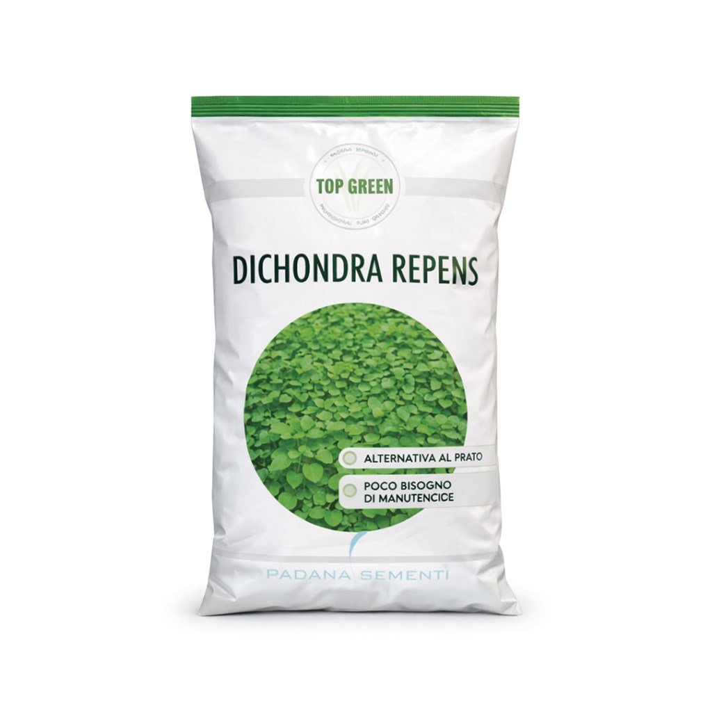 DICONDRA REPENS - CONF.50% - KG.0,1 (C.SEDICO,6)
