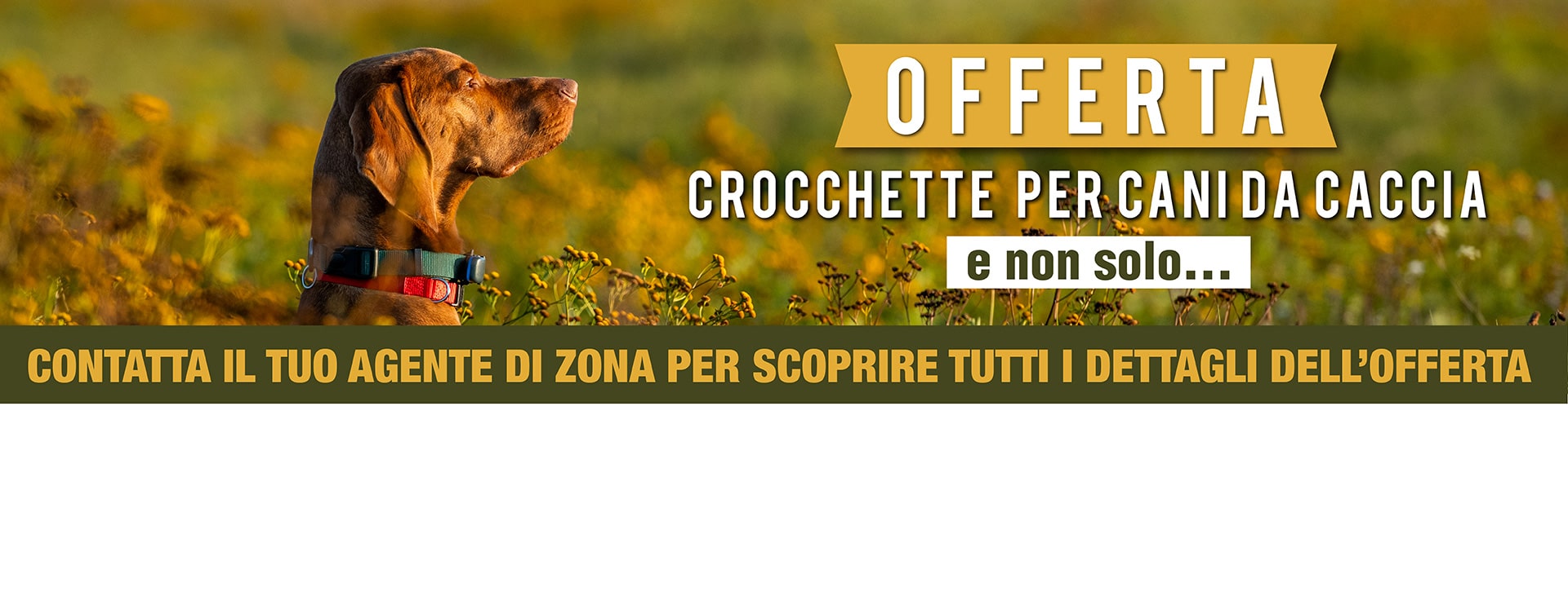 OFFERTA CACCIA