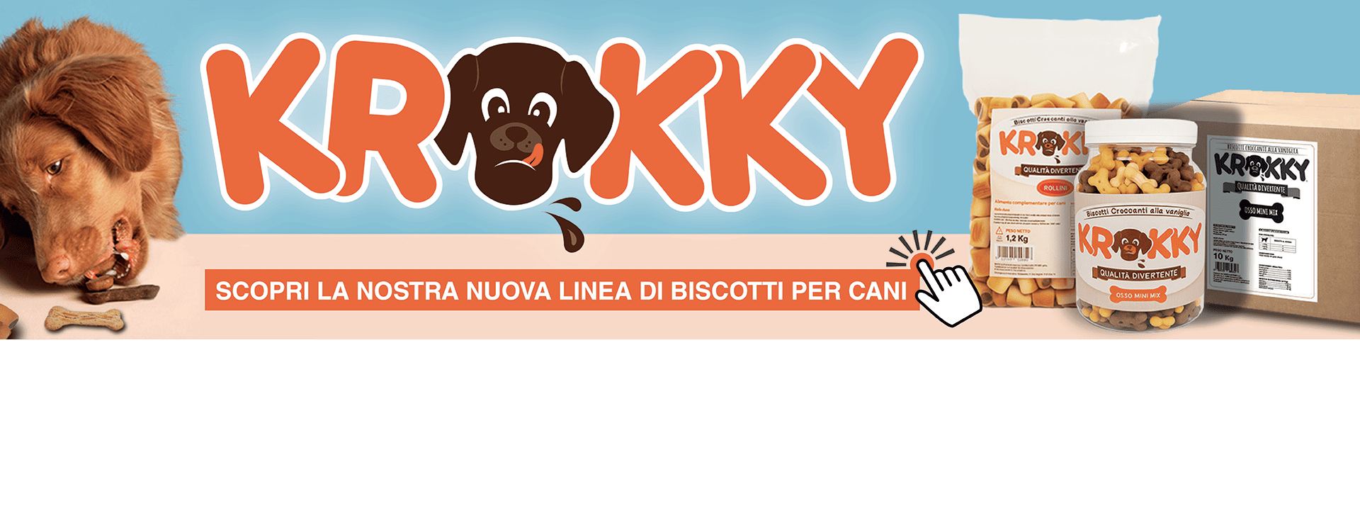 BANNER KROKKY