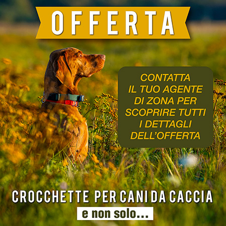 OFFERTA CACCIA